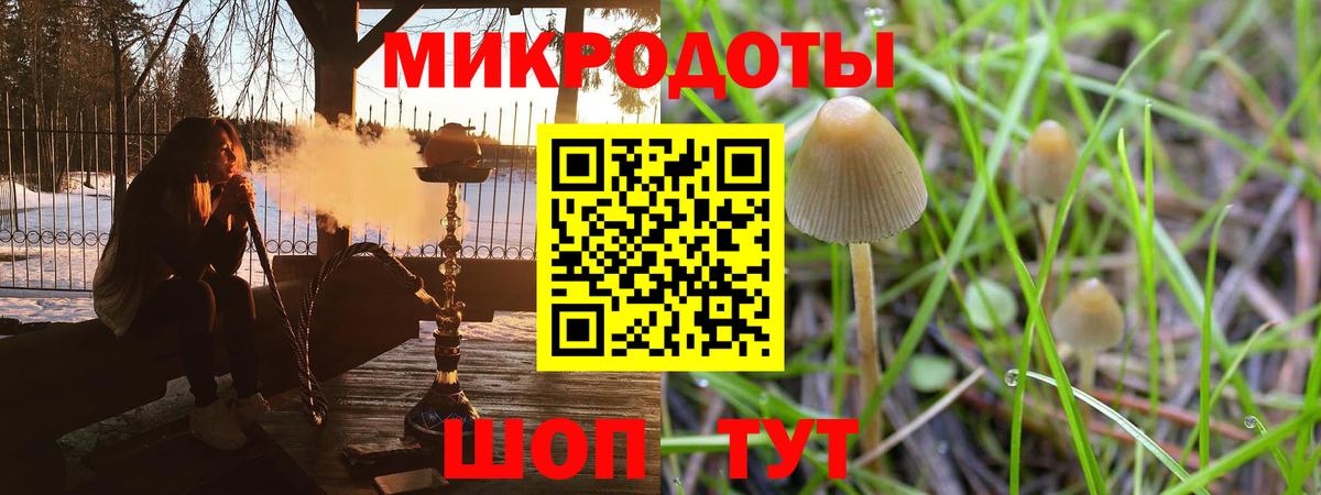 Псилоцибиновые грибы прущие грибы Шелехов
