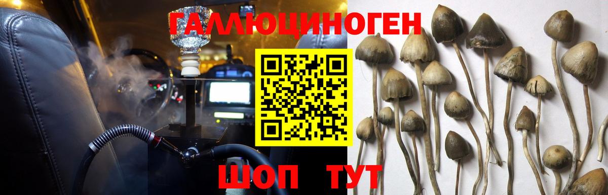 Галлюциногенные грибы прущие грибы  Вход с VPN  Шелехов 